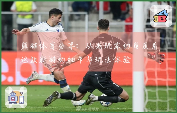熊猫体育分享：从老玩家的角度看这款新游的细节与玩法体验