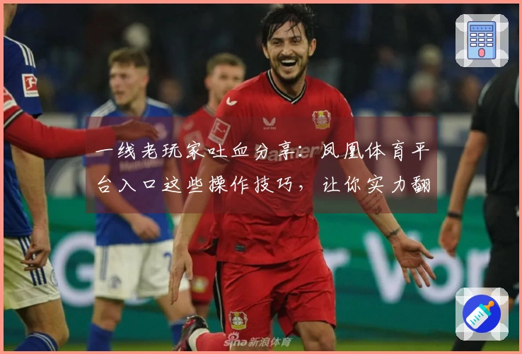 一线老玩家吐血分享：凤凰体育平台入口这些操作技巧，让你实力翻倍！