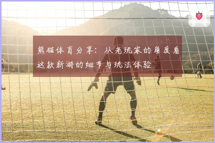 熊猫体育分享：从老玩家的角度看这款新游的细节与玩法体验